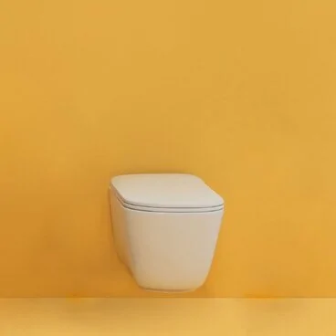 WC à fleur de mur sans...